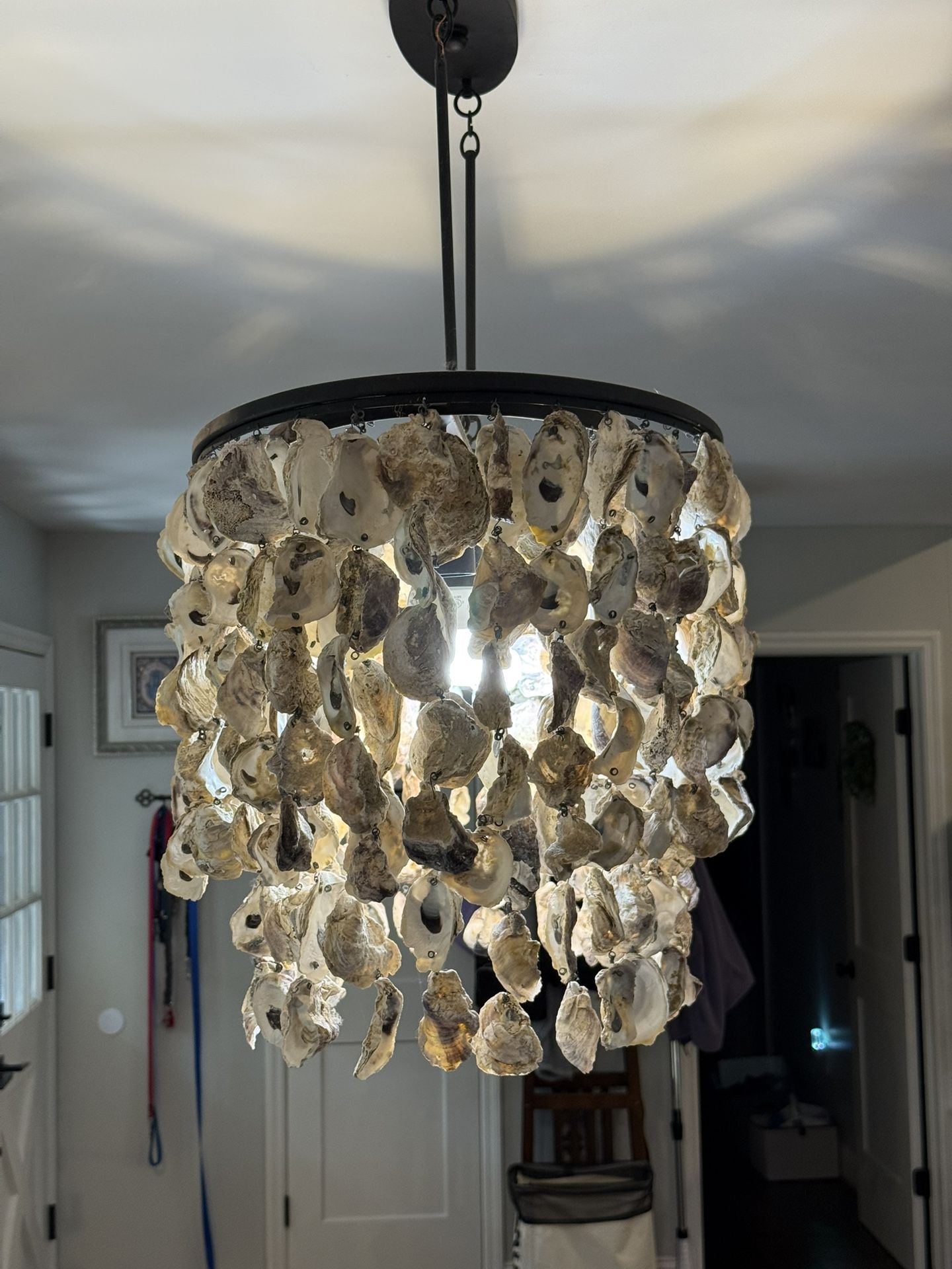 Hanging Shell Chandelier 