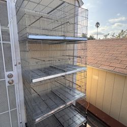  Bird Cage 