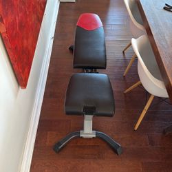 BowFlex Weight Bench