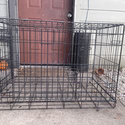 Dog Cage