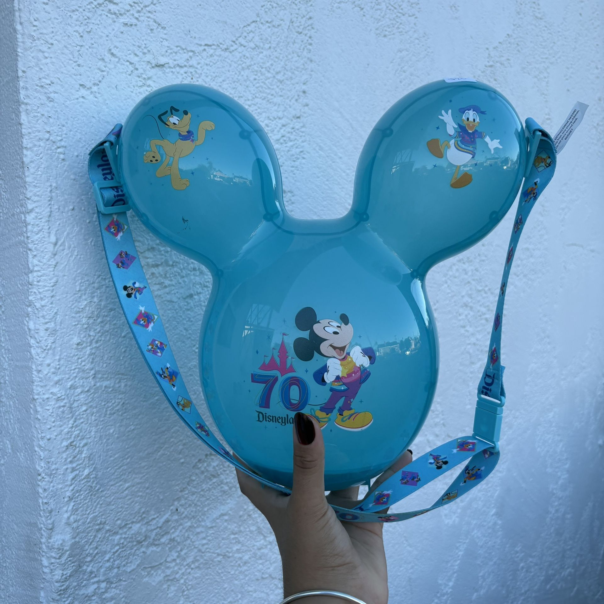 Disneyland 70th Anniversary Bucket