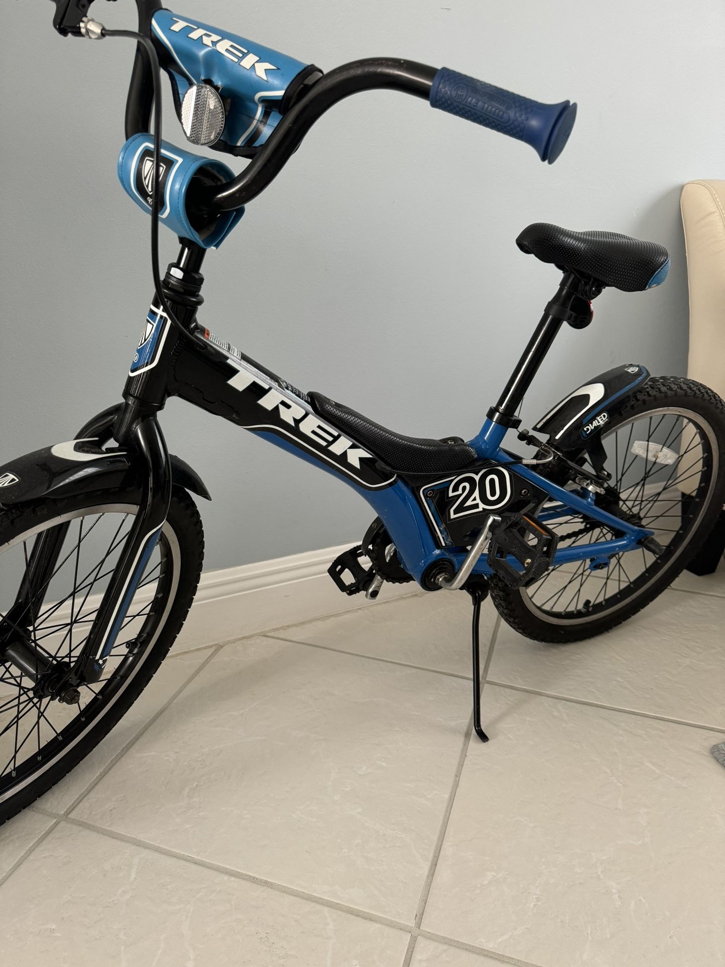 Bike Trek For Kids 20”