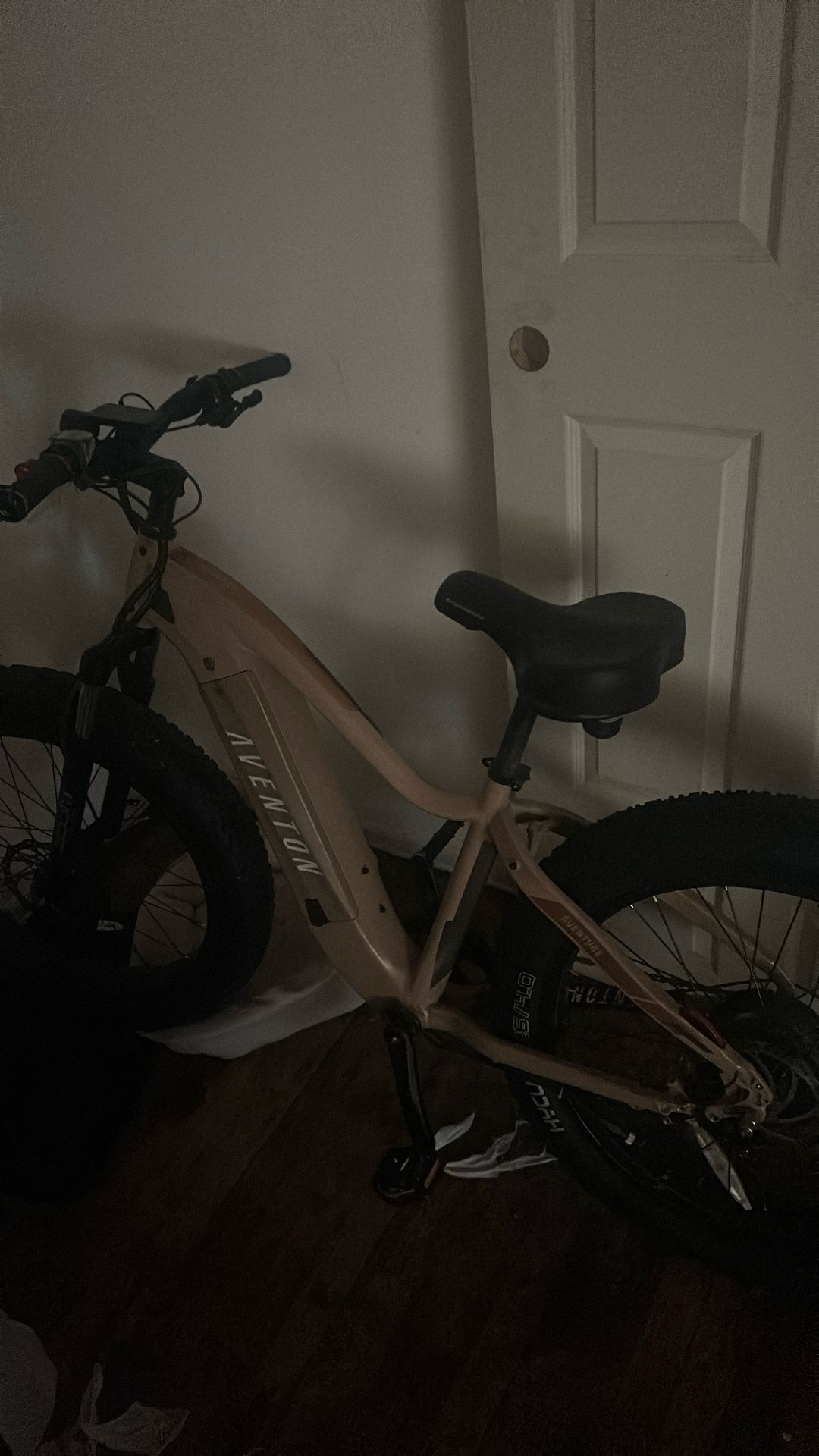 Electric Bike Use