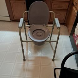 Adult Bedside Potty Seat