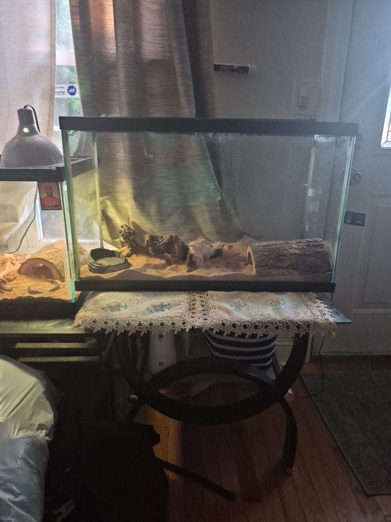 Reptile Aquarium Habitat