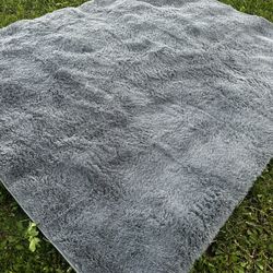  beautiful rugs 