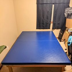 Physical Therapy/Exercise Table