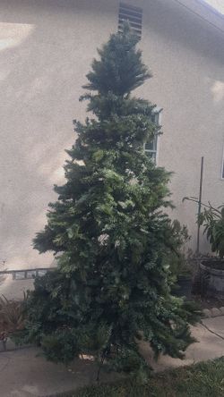 Cristmas Tree