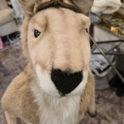 Hansa Plush Life Sized Kangaroo With Joey In Her Pouch