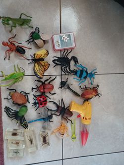 Collection Of Bugs And Other Accessories Perfect For A Future Entomologist 