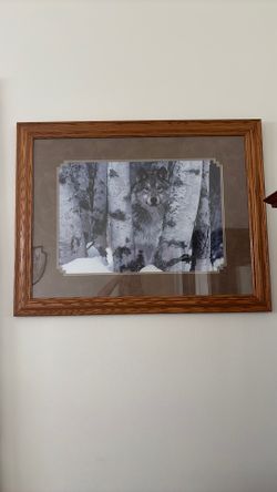 Large Wolf, Matted and framed art