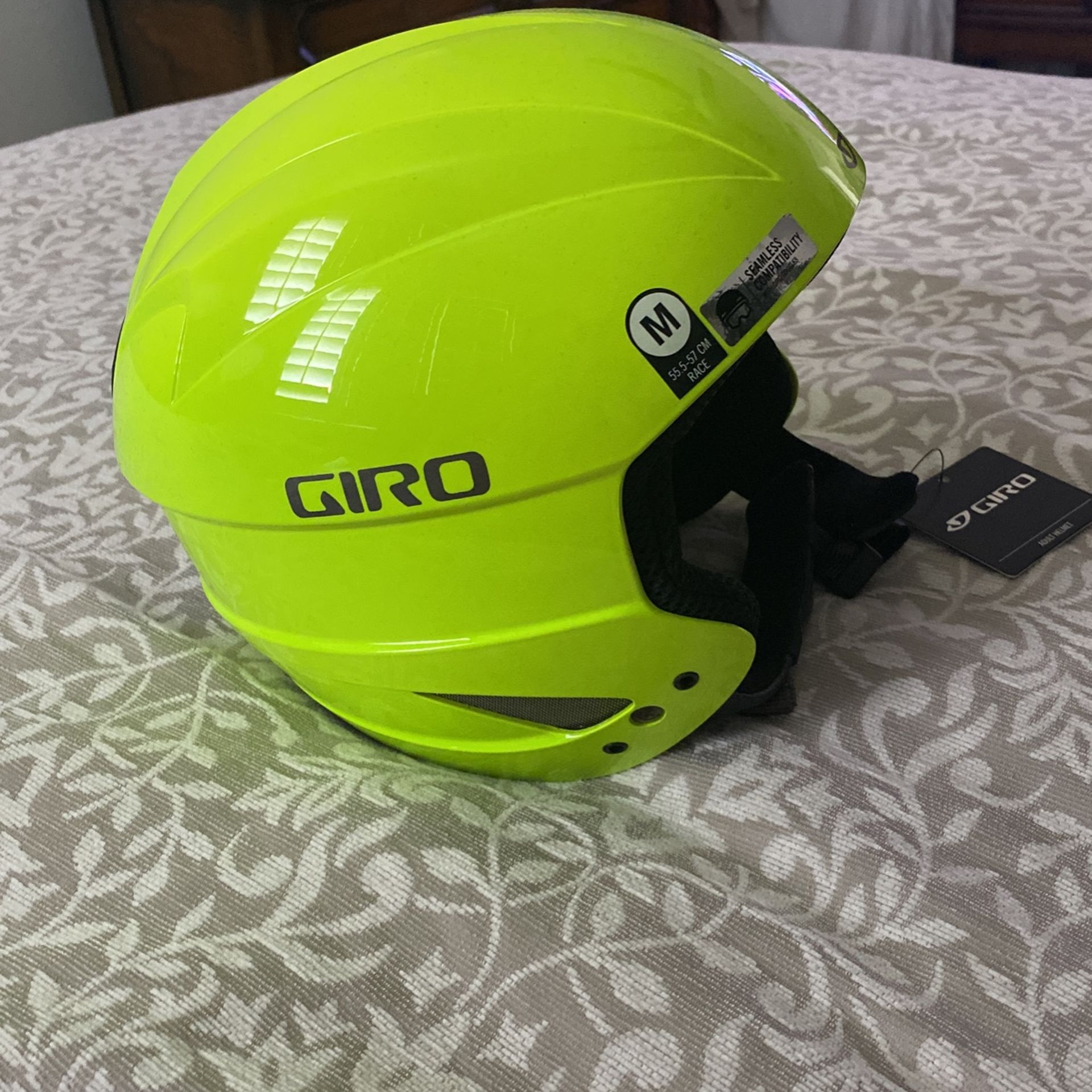 Ski Helmet 