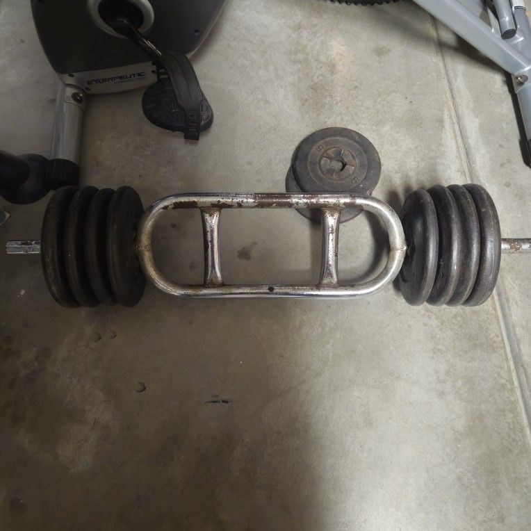 Tricep Bar with Steel Weights