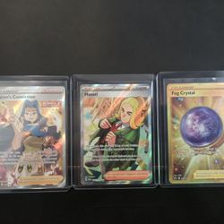 Pokemon Trainers And Supporter 