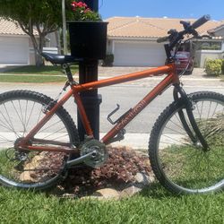 Caloi Late 80s Early 90’s Vintage Mountain Bicycle 