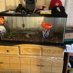 Snake Or Any Type Of Animal Tank