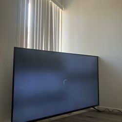 60 Inch Vizio tv