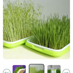 seed starting, growing microgreens, or other gardening projects.