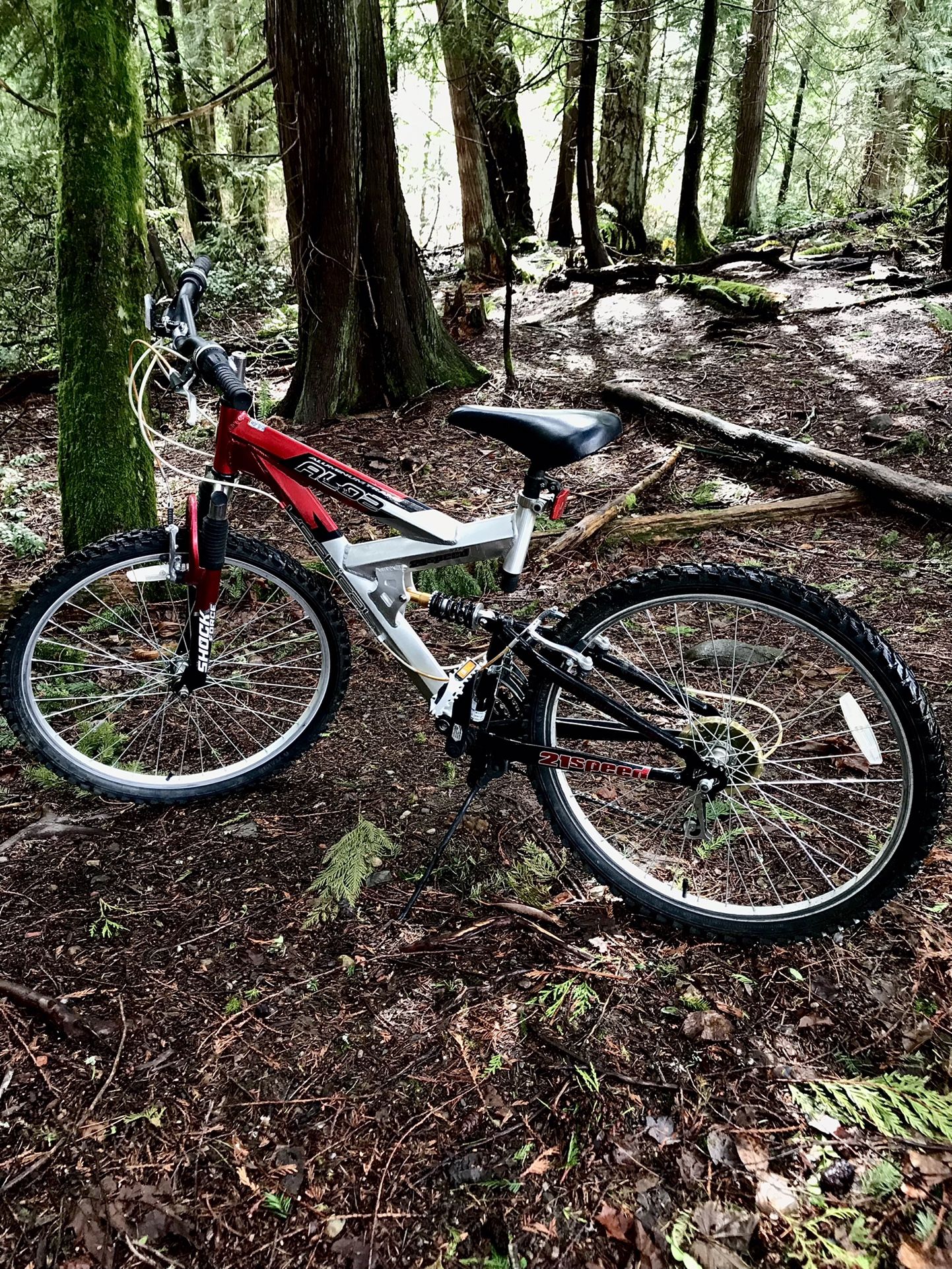 Vertical 21 Speed Mountain Bike for Sale in Issaquah, WA - OfferUp