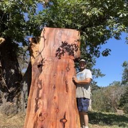 Massive Redwood Slab! Live Edge Beauty For A Stunning Dining Table
