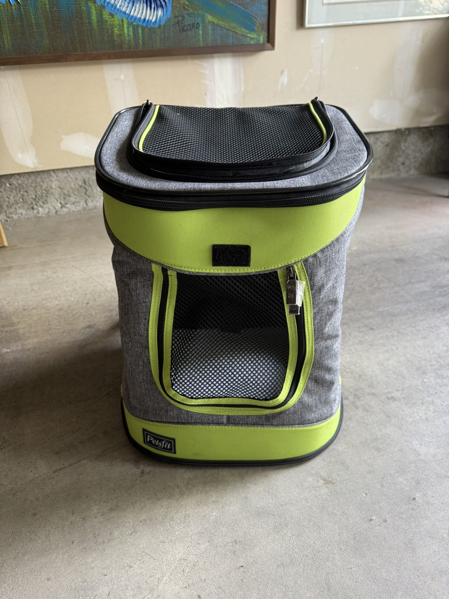 Petsfit Easy-Fit Airline Approved Backpack Dog & Cat Carrier, 13.5 x 12.5 x 17.5-in, Green