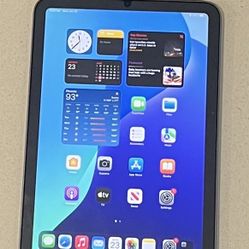 6th gen iPad Mini