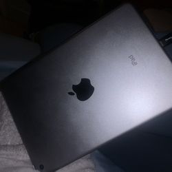 iPad Mini 4 
