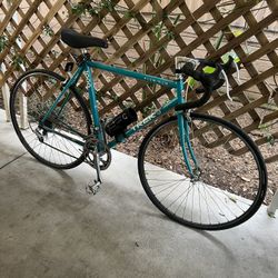 Trek Aluminum 1000 Bicycle