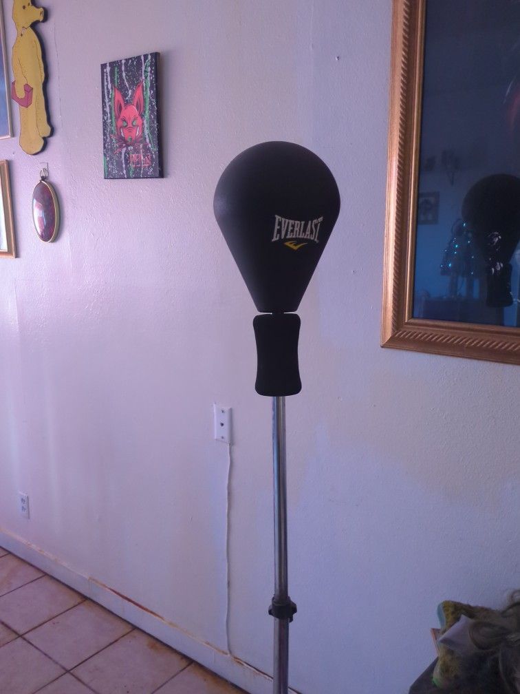 Punching Bag