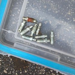 Bleeded screws for brakes