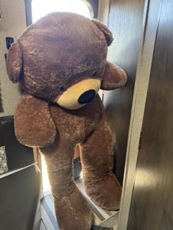 Huge Teddy Bear
