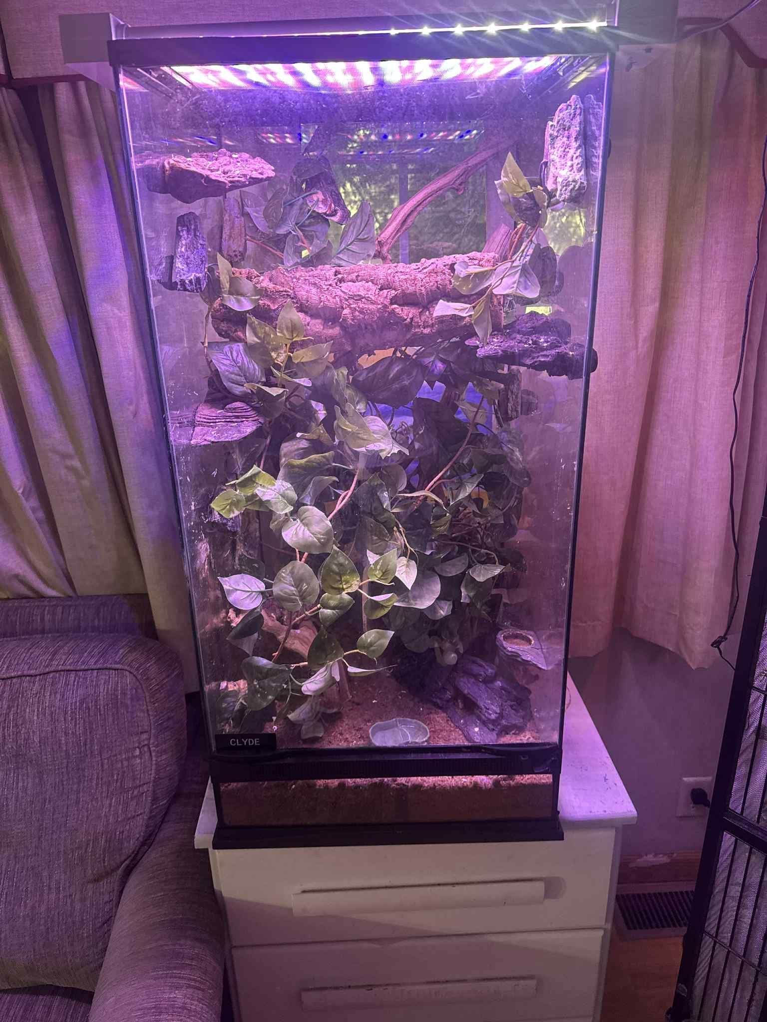 Glass Reptile Enclosure 