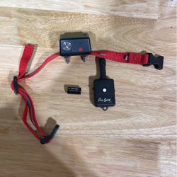 Dog Training Collar
