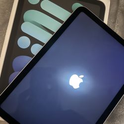 iPad Mini