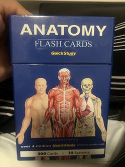 Anatomy Flash Cards