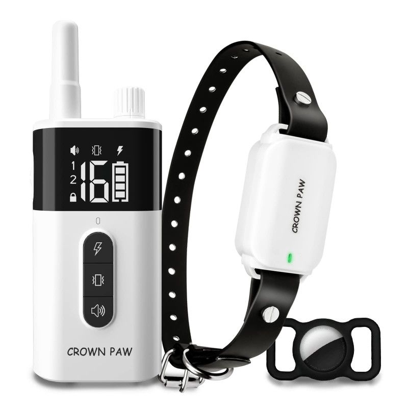 Dog Training Collar