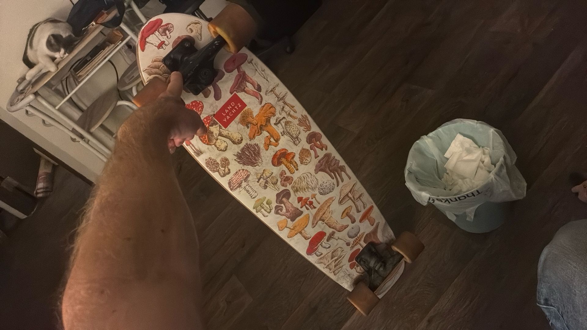 LANDYACHTZ Longboard Great Condition