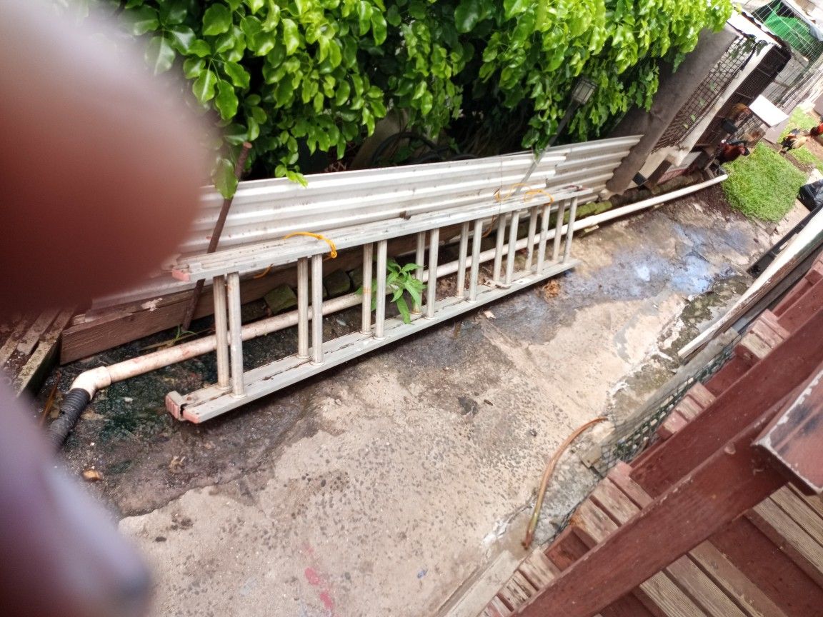 Extension Ladders