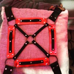 Custom Made Harley Quinn Harness