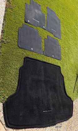 2015-2019 Hyundai Sonata Floor Mats and Cargo Mat
