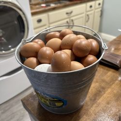 Eggs, Huevos 