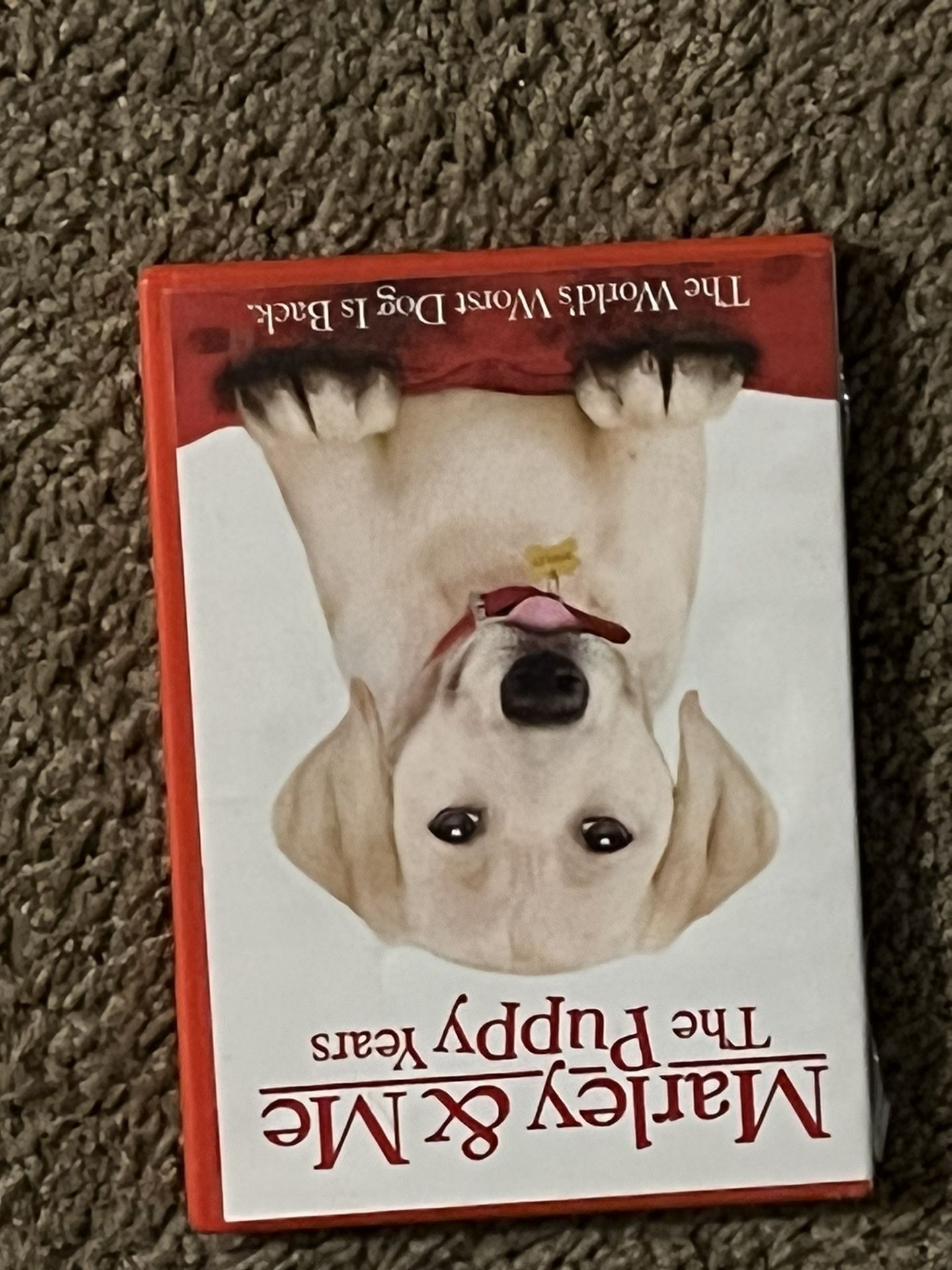 Marley and Me: The Puppy Years: Dvd