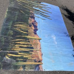 Outdoor Screen For Deck/patio 