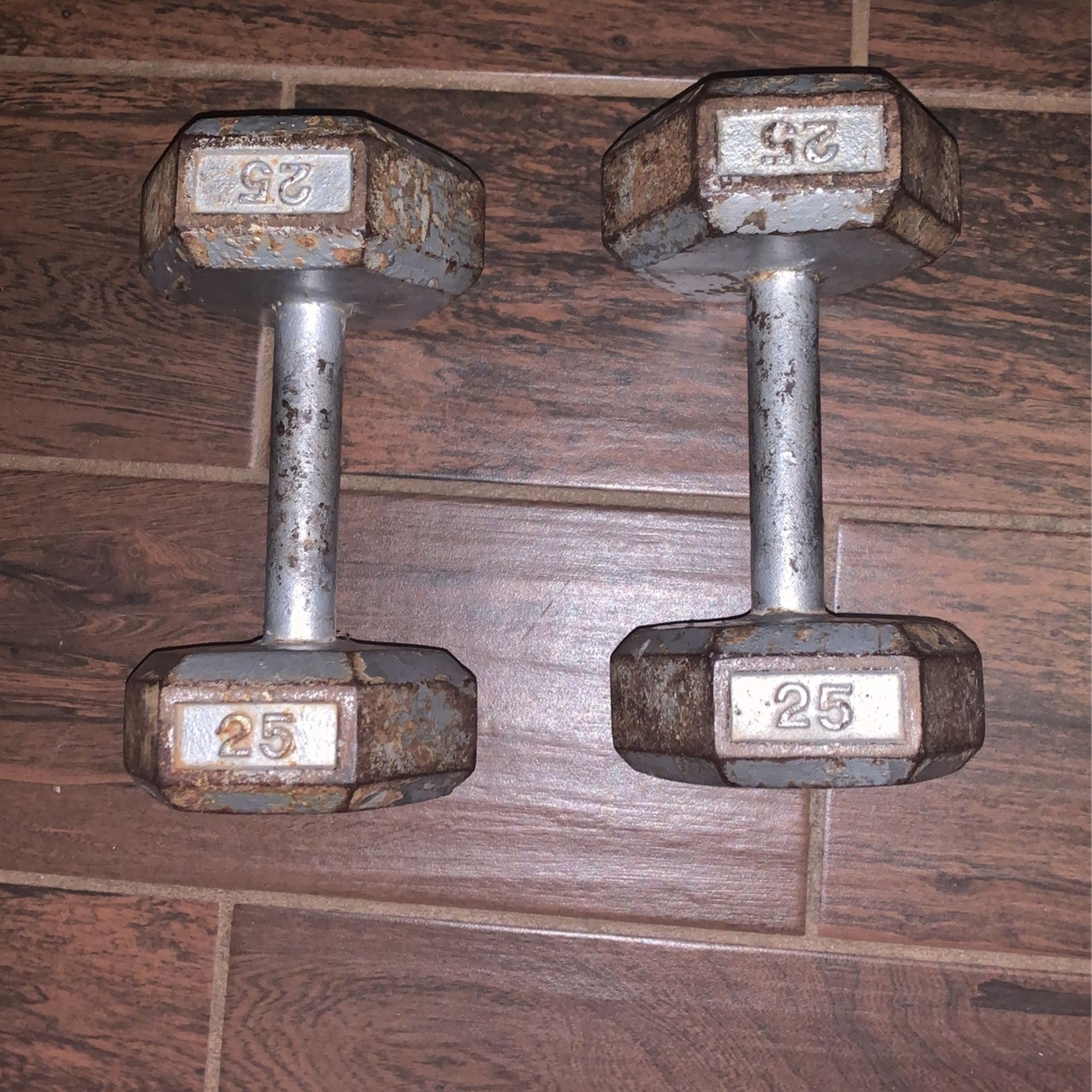 25lb Dumbbells 