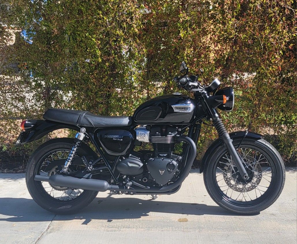 2019 Triumph Bonneville