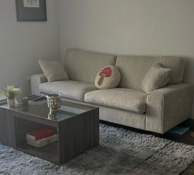 Modern Upholstered Couch Beige