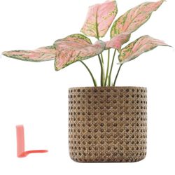 #L）7" Weave Pattern Ceramic Flower Pots 
