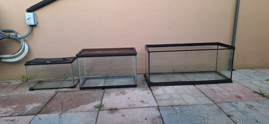 Fish Tanks