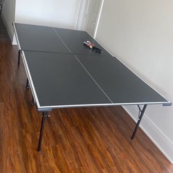 Ping Pong Table