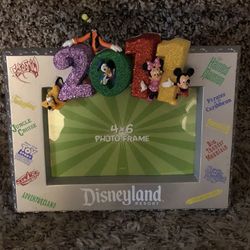 Disneyland Resort  Photo Frame 2011
